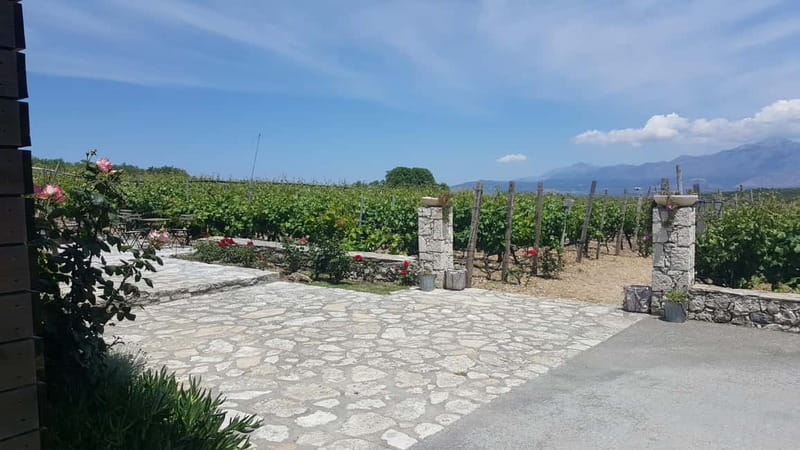 Chania: Full-Day Vineyard & Winery Private Tour w/ Tastings - Starting from the Heart of Chania
