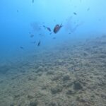 Chania Scuba Diving for Beginners - The Location of Salty Descents in Kalyves, Crete