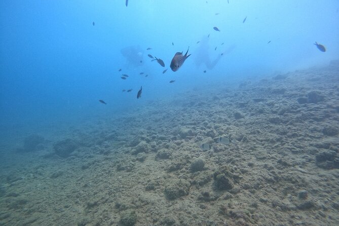 Chania Scuba Diving for Beginners - The Location of Salty Descents in Kalyves, Crete