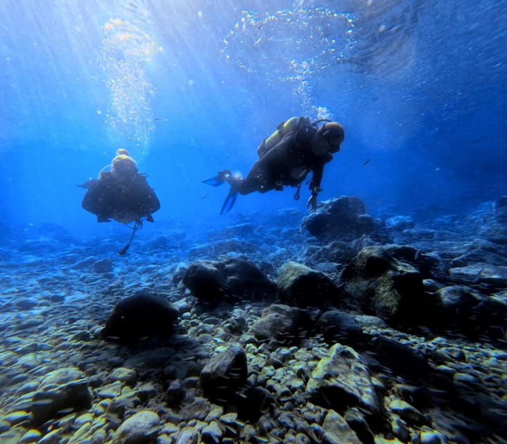 Chania | Try Scuba Diving | Private Introduction Dive - Visiting the Calm, Sheltered Dive Site Near Almyrida