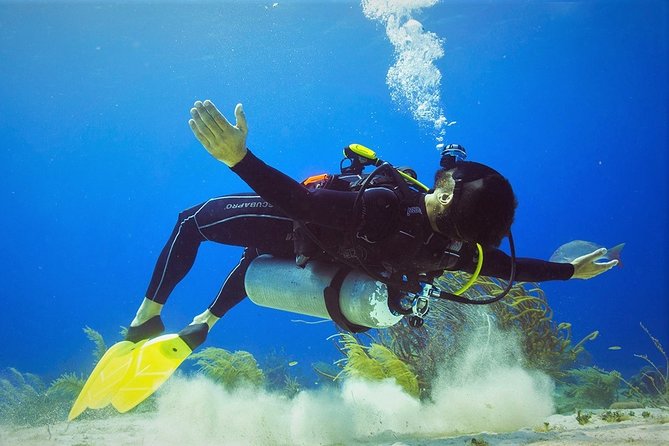 Chankanaab Cozumel Scuba Diving - Expert Guides Ensure a Safe and Calm Experience