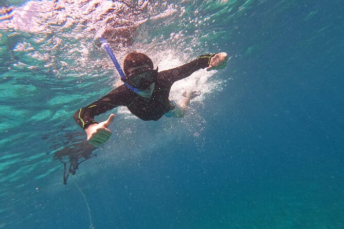 Chankanaab Park entrance ticket with snorkeling and buffet included - Starting Point and Park Location in Cozumel