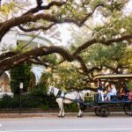 Charleston: Downtown Horse-Drawn Carriage Tour - The Route and Sights of Charleston’s Historic District