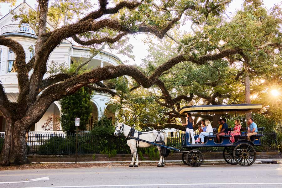 Charleston: Downtown Horse-Drawn Carriage Tour - The Route and Sights of Charleston’s Historic District