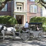 Charleston: Evening Carriage Tour - The Carriage Experience and Seating