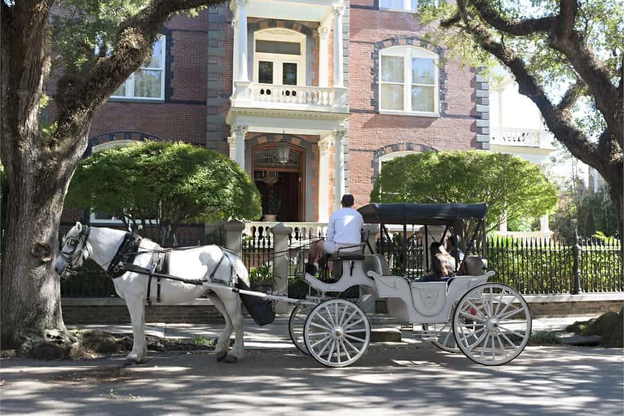 Charleston: Evening Carriage Tour - The Carriage Experience and Seating