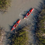 Charleston: Folly Beach Afternoon Kayak Dolphin Safari - Starting Point Near Hotel Folly on Folly Beach