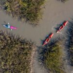 Charleston: Folly Beach Morning Kayak Dolphin Safari - Learning the Basics of Kayaking in a Relaxed Setting