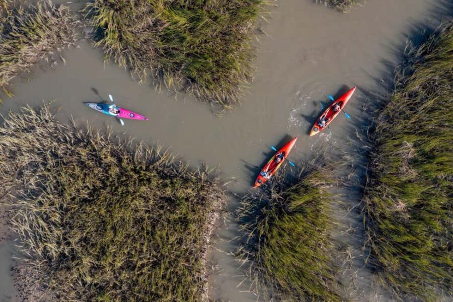 Charleston: Folly Beach Morning Kayak Dolphin Safari - Learning the Basics of Kayaking in a Relaxed Setting