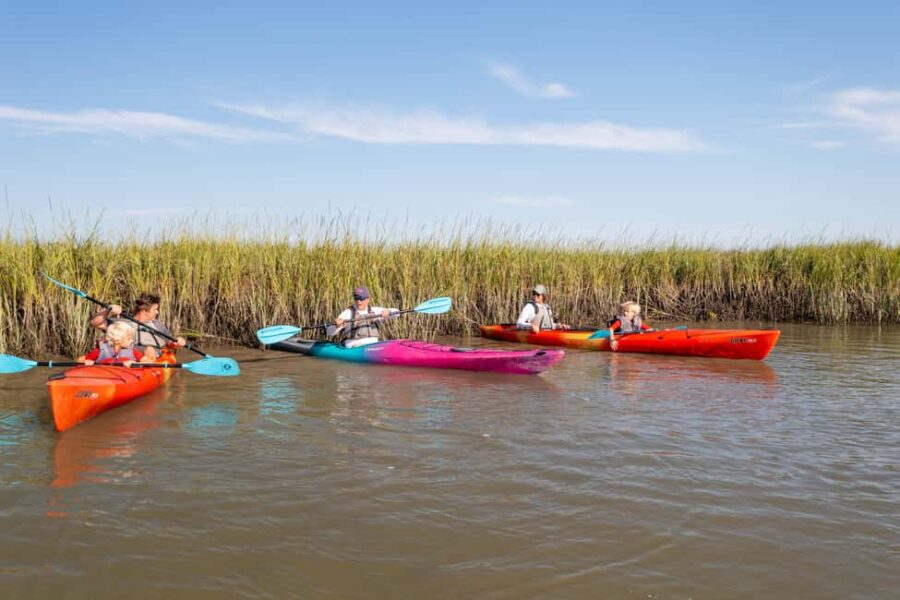 Charleston: Folly River Sunset Kayak Dolphin Safari - What You Learn During the Kayaking Introduction