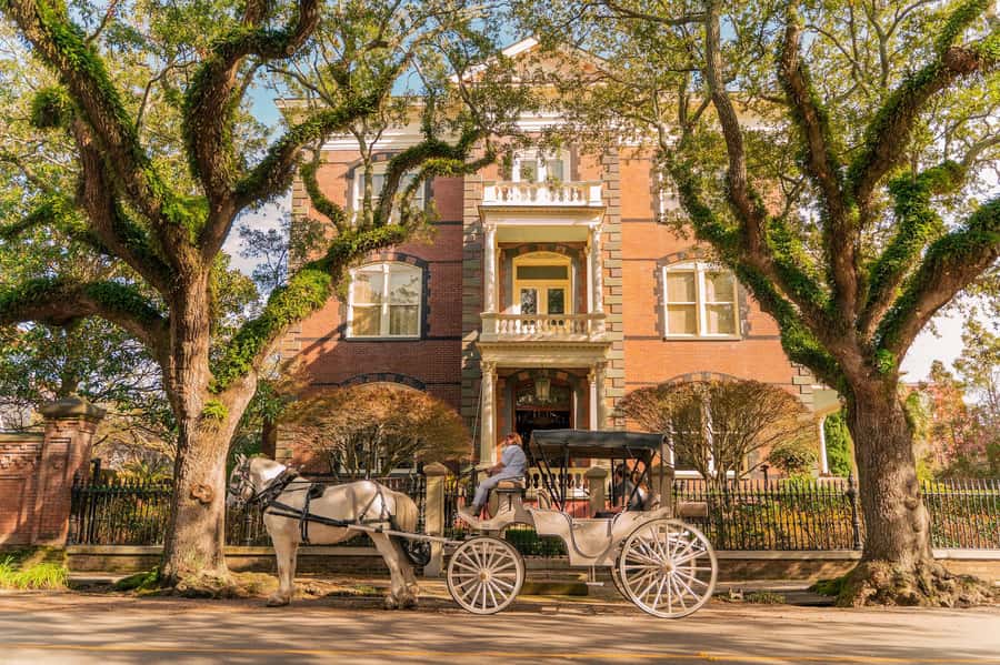 Charleston: Historic Carriage Tour of Charleston - A Customizable Itinerary Focused on Your Interests