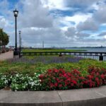 Charleston: Historic District Tour With Local Guide - Exploring Charleston’s Architectural Marvels