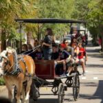 Charleston: Historic Residential Horse and Carriage Tour - Meeting at Charleston’s Historic Stables on Anson Street