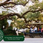 Charleston Horse-Drawn Carriage Tour: Explore Historic Charleston - The Route and Major Stops in Charleston’s Historic District