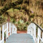 Charleston: Magnolia Plantation Entry & Tour with Transport - Pick Up in Charleston and Scenic Drive to Magnolia Plantation