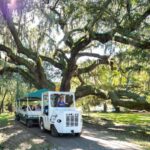 Charleston: Magnolia Plantation & Gardens Guided Tour - Convenient Transportation from Charleston