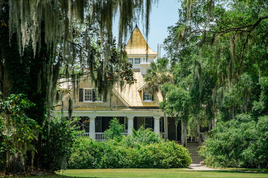 Charleston: Magnolia Plantation with Transport and City Tour - Wildlife Encounters at Magnolia Plantation