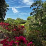 Charleston: Middleton Place Guided Tour with Lunch - Luxurious Transportation in a Mercedes-Benz Sprinter Van