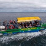 Charlottetown: Harbour Hopper Tour - Visiting the Historic Sights and Architectural Landmarks