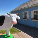 Charlottetown: Historical Architecture Guided Walking Tour - Meeting Point Near the Waterfront on Prince Street