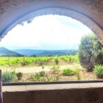 Chateauneuf du Pape and Luberon vineyard tour from Avignon - Exploring Chateauneuf du Pape’s Famous Vineyards and Ruins