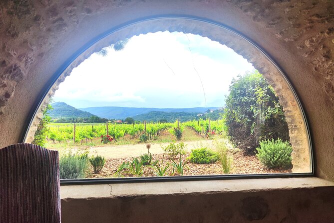 Chateauneuf du Pape and Luberon vineyard tour from Avignon - Exploring Chateauneuf du Pape’s Famous Vineyards and Ruins