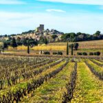 Châteauneuf Du Pape intensive vineyard & fine wine experience - The Guided Tasting Experience and Wine Varietals