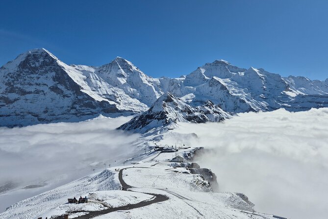 Cheese and chocolate on mountain summit - Swiss Cheese Tasting with Mountain Views
