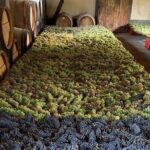 Chianti and San Gimignano - 2 Wineries with Pairing Lunch - Exploring Monteriggioni’s Historic Walls and Charm