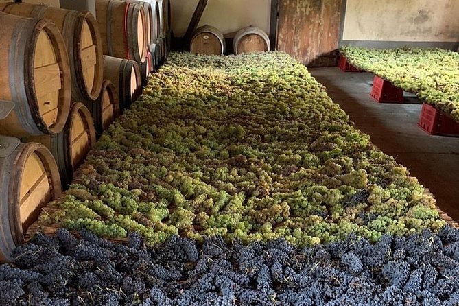 Chianti and San Gimignano - 2 Wineries with Pairing Lunch - Exploring Monteriggioni’s Historic Walls and Charm