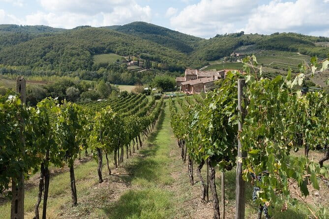 Chianti Day trip from Florence - Exploring Greve in Chianti’s Picturesque Piazza
