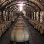 Chianti from Florence:PRIVATE Wine, Olive Oil Tasting in the Tuscan countryside - Starting Point and Private Transport in Florence