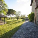 Chianti Organic wine tasting - Tasting the Organic Wines and Olive Oil: Flavors and Food Pairings