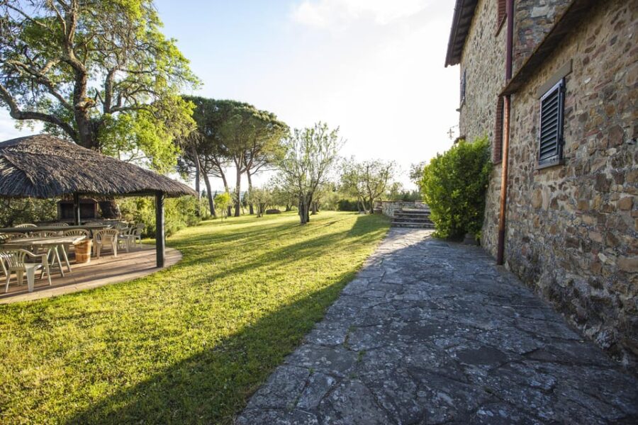 Chianti Organic wine tasting - Tasting the Organic Wines and Olive Oil: Flavors and Food Pairings