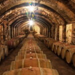 Chianti & Supertuscan Private Tour 2 Wineries with light lunch - Tasting Chianti and Super Tuscans in Tuscany