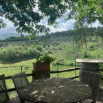 Chianti Vineyards Tours in Private Luxury Van from Florence - Authentic Wine Tasting at Brogioni SAS