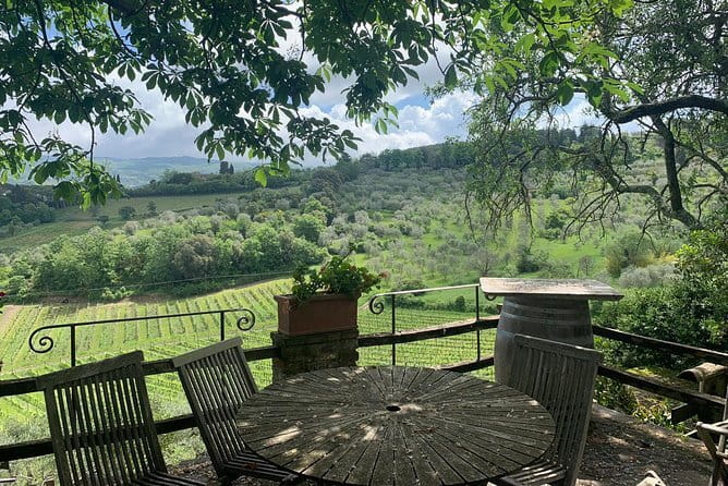 Chianti Vineyards Tours in Private Luxury Van from Florence - Authentic Wine Tasting at Brogioni SAS