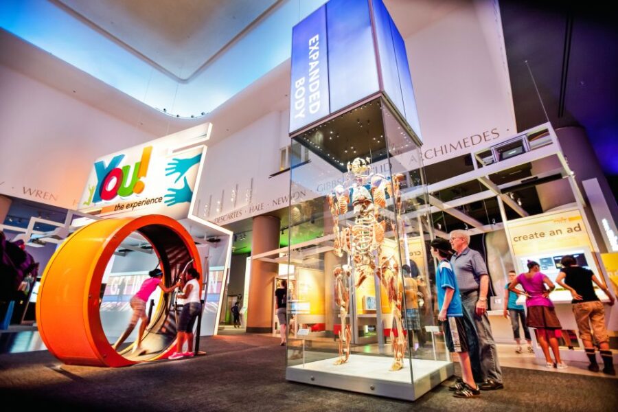 Chicago CityPASS®: Save up to 49% at 5 Top Attractions - Shedd Aquarium: All-Access Marine Life Experience