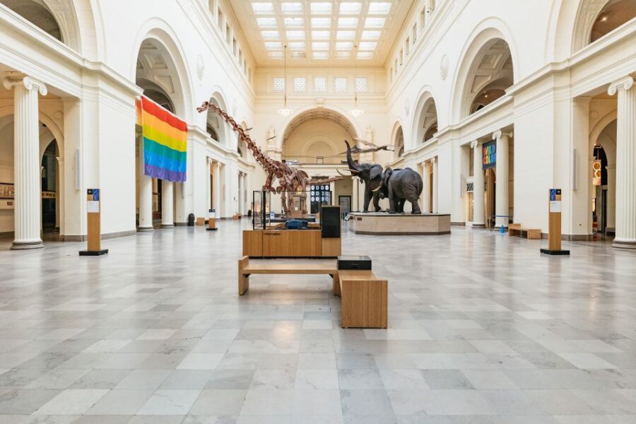 Chicago: Field Museum of Natural History Ticket or VIP Tour - Start with the Museum’s Location and Ticket Options