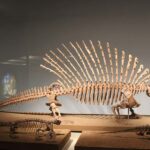Chicago: Field Museum Ticket & Highlights Digital Tour - Discover the Evolving Planet Exhibit and SUE the T. rex