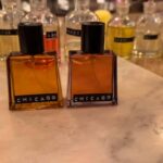 Chicago Photo Tour with a Private Photographer - Meeting in the Heart of Chicago at "The Bean"