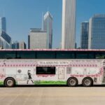 Chicago: Tea Around Town With Curated Teas & Iconic Sights - Sampling Curated Premium Teas with Gourmet Bites