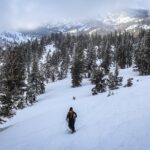 Chickadee Ridge Beginner Snowshoe Activity - What to Expect During the Snowshoe Trek