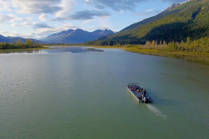 Chilkat River Jet-Boat Adventure in Haines - Spotting Bald Eagles and Their Massive Nests in Their Natural Habitat