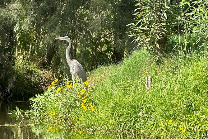 Chinampas Eco Immersion Mexico City - Starting Point at Sanborns Taxqueña for a Convenient Kickoff