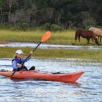 Chincoteague Kayak Rentals around Assateague Island - Exploring the Remote Coastlines and Natural Sights