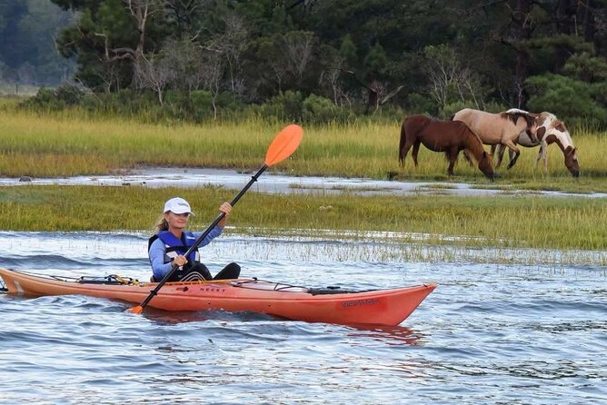 Chincoteague Kayak Rentals around Assateague Island - Exploring the Remote Coastlines and Natural Sights