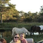 Chincoteague's Up The Bay Pony and Wildlife Tour by Boat - Starting Point at Curtis Merritt Harbor in Chincoteague
