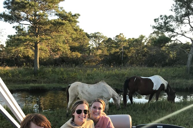 Chincoteague's Up The Bay Pony and Wildlife Tour by Boat - Starting Point at Curtis Merritt Harbor in Chincoteague