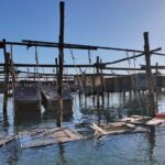 Chioggia : Aquaculture Secrets Tours of the Lagoon - Oyster Farming: Discovering How the Bounty Is Nurtured